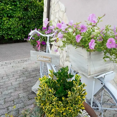 Bed & Breakfast Bed & Breakfast Mafi