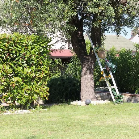 Oda ve Kahvaltı Mafi 3*