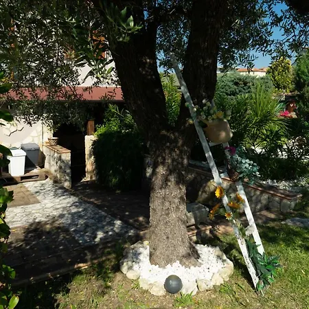 Mafi Oda ve Kahvaltı Orsogna