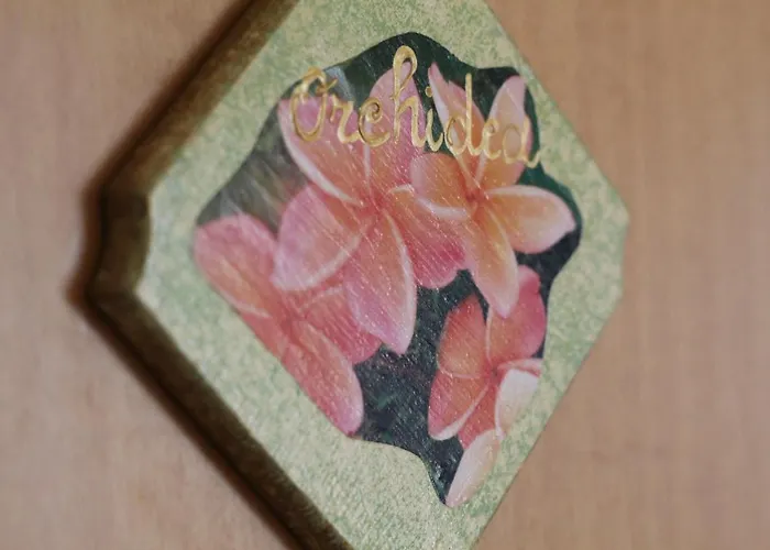 Bed and Breakfast Mafi