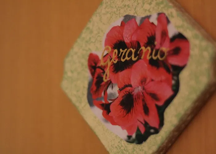 Bed and Breakfast Mafi